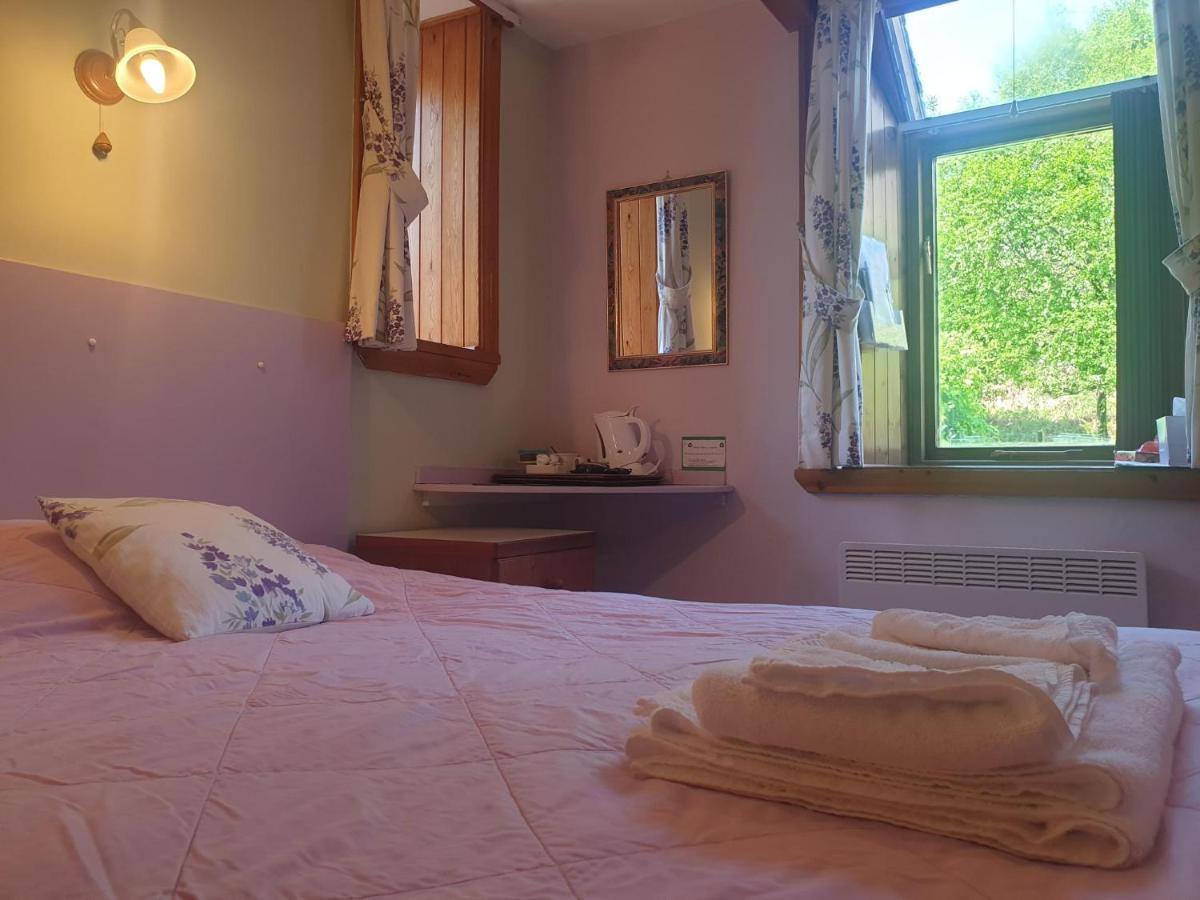 Bryn Elltyd Eco House Guest House Blaenau Ffestiniog Bagian luar foto